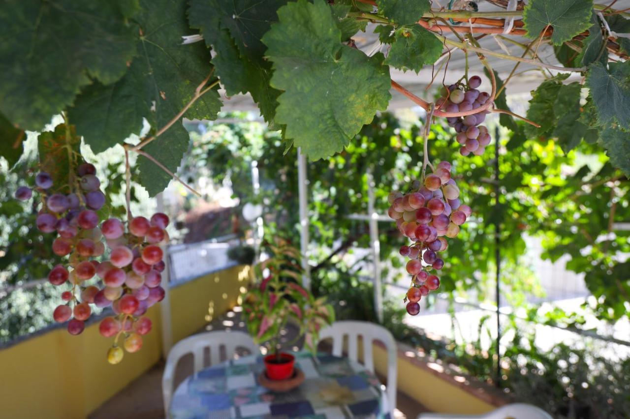 B&B Del Sole Tropea Riaci 외부 사진